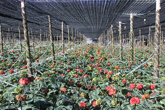 九游老哥必备的交流社区医药