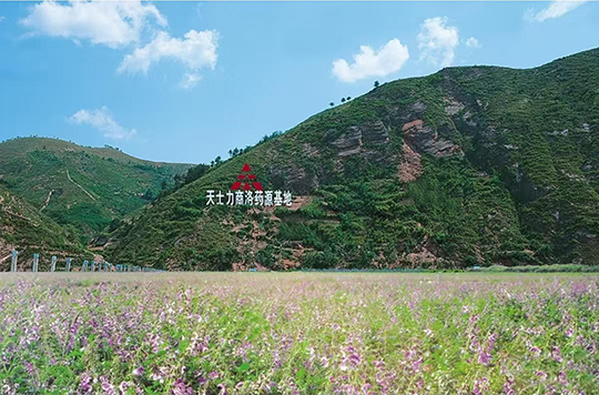 九游老哥必备的交流社区医药